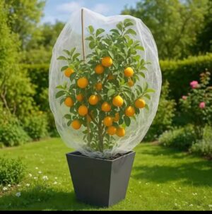 NL-Plantenhoes 10 x 1,5 m – Beschermhoes voor Groente en Fruit